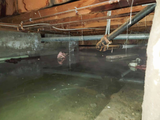 Water damage restoration experts in Pelican Bay, FL