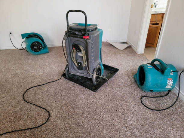 Best Ceiling water damage repair  in Pelican Bay, FL