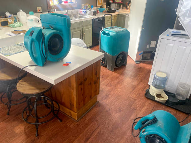 Best Water damage cleanup near me  in Pelican Bay, FL