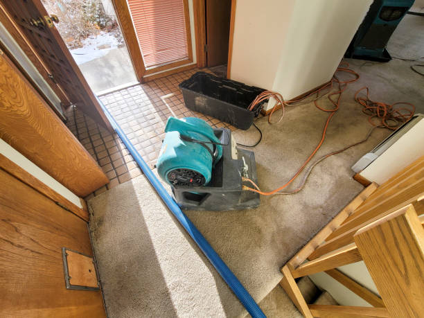 Best Basement water damage restoration  in Pelican Bay, FL