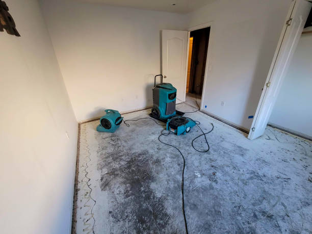 Best Emergency water damage restoration  in Pelican Bay, FL