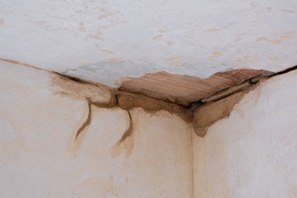 Best Local water damage restoration  in Pelican Bay, FL