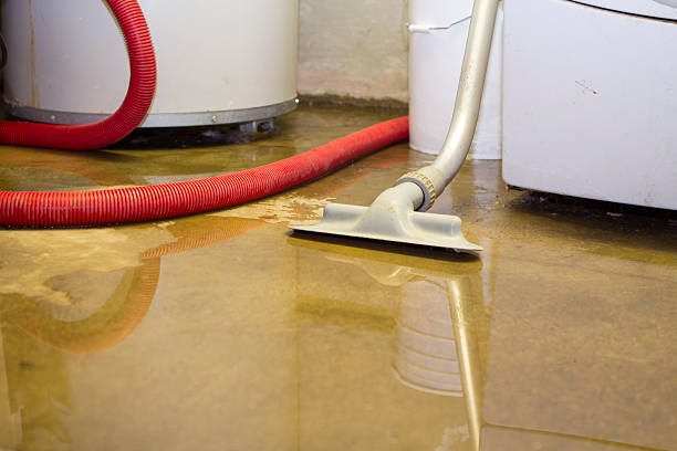 Best Flooded house restoration  in Pelican Bay, FL