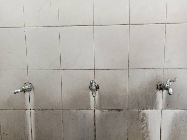 Best Water damage restoration experts  in Pelican Bay, FL
