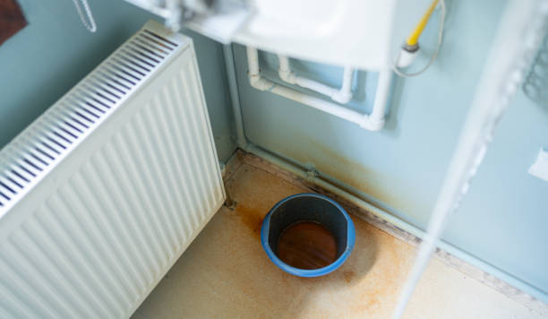 Best Water damage restoration specialists  in Pelican Bay, FL