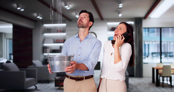 Best Mold removal after water damage  in Pelican Bay, FL