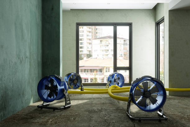 Water damage restoration insurance claims in Pelican Bay, FL